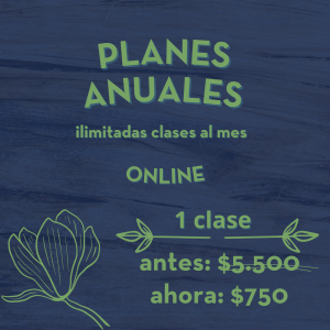 PLAN ANUAL ONLINE | Clases Ilimitadas